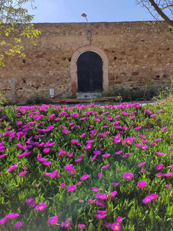 Finca Las Rosas De Santa Ana 比利亚马尔廷 外观 照片