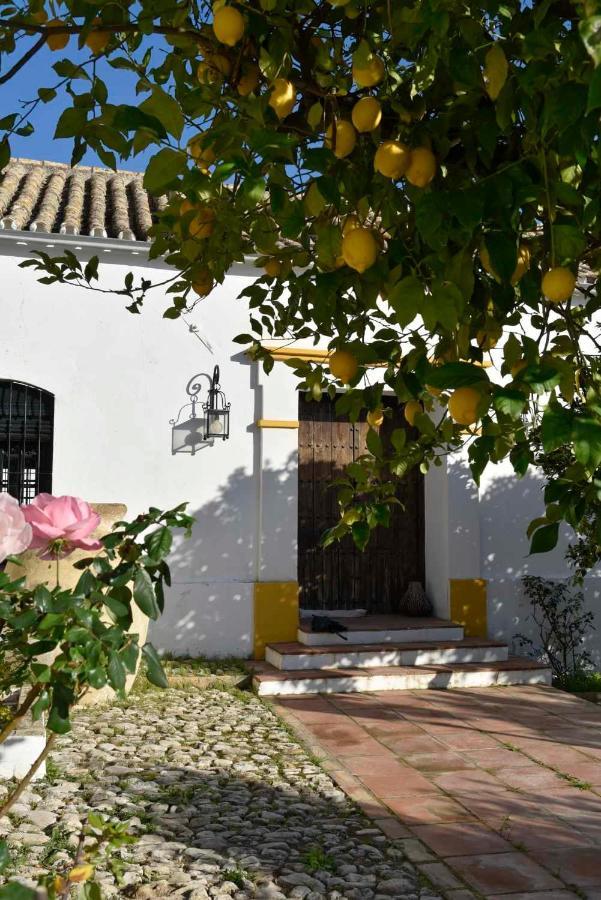 Finca Las Rosas De Santa Ana 比利亚马尔廷 外观 照片