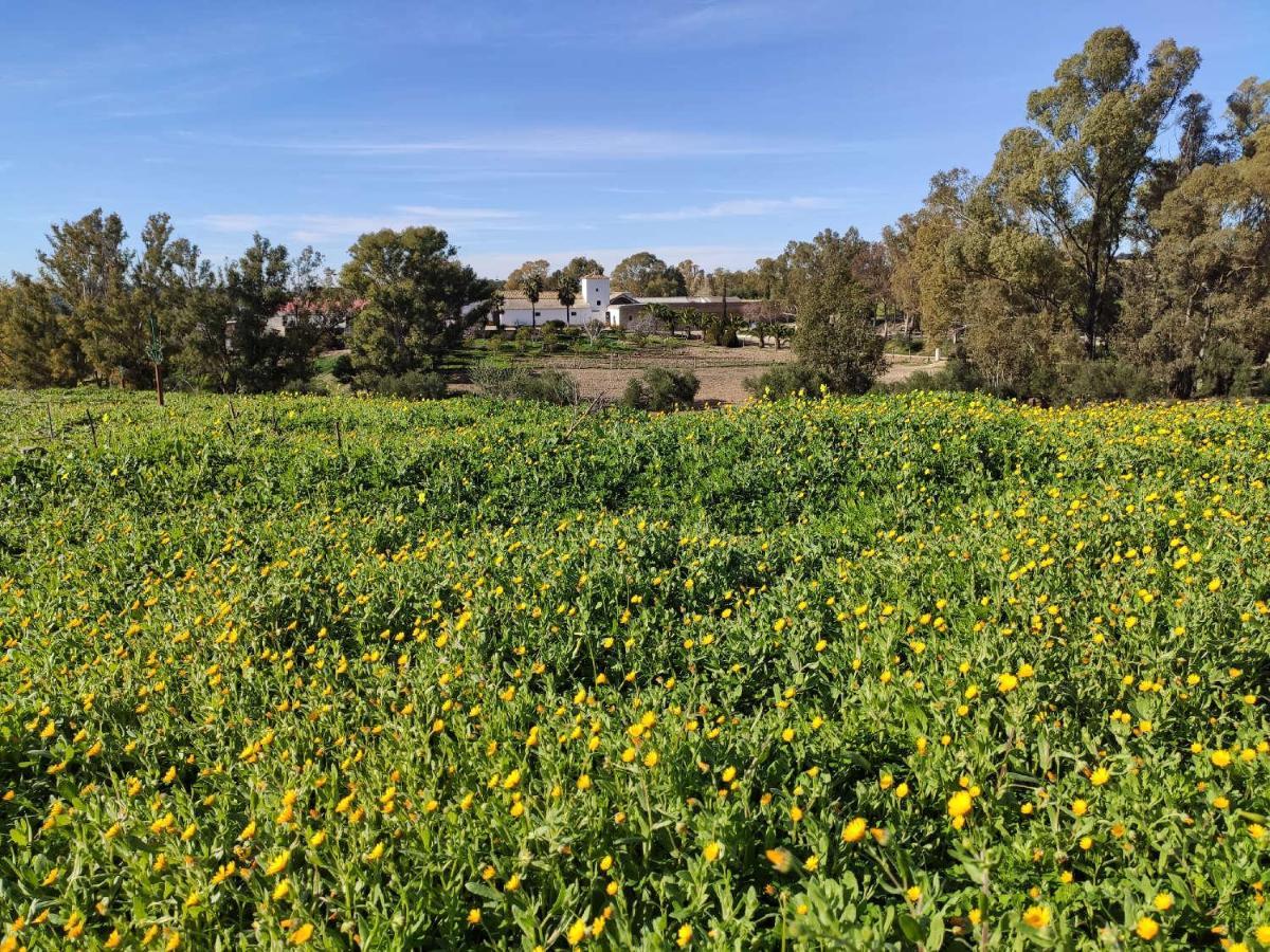 Finca Las Rosas De Santa Ana 比利亚马尔廷 外观 照片