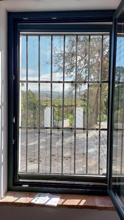 Finca Las Rosas De Santa Ana 比利亚马尔廷 外观 照片